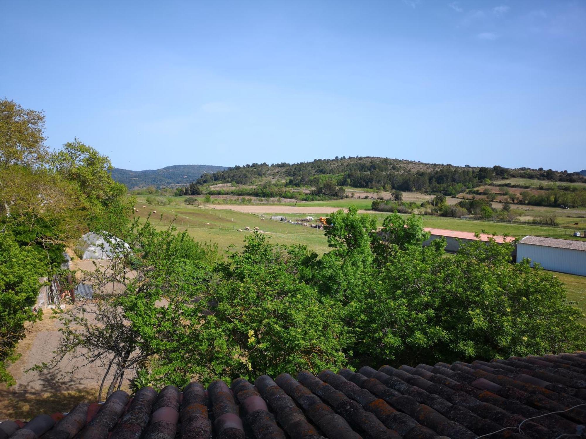 L'Ours Des Corbieres - Chambres D'Hotes Servies-en-Val Room photo